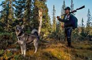 jakt, jakt älgjakt, jägare, jämthund, ledhund, Mixa, älghund, älgjagare, älgjakt
